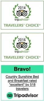 Travelers' Choice Award — 2014 & 2016