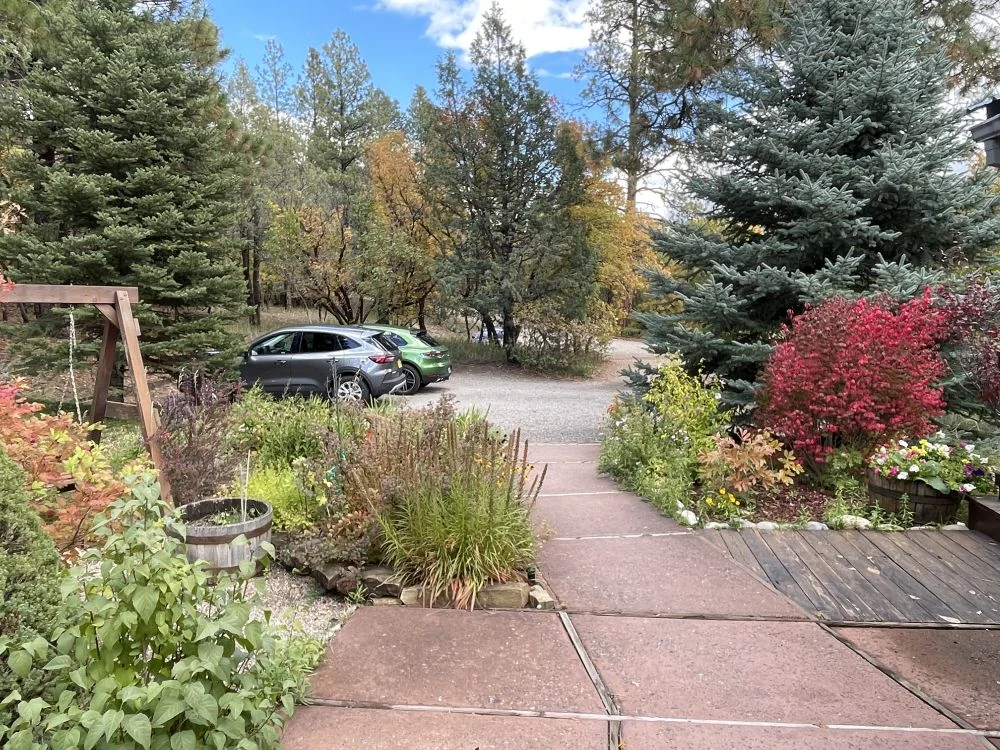 Garden path with hammock and fire pit at Country Sunshine Bed & Breakfast